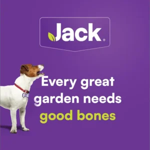 Jack