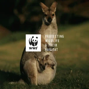 WWF