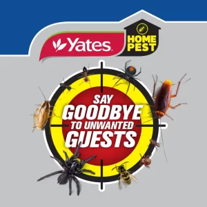 yates home pest